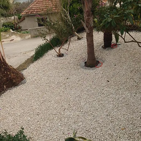 Peragic 몰루나트