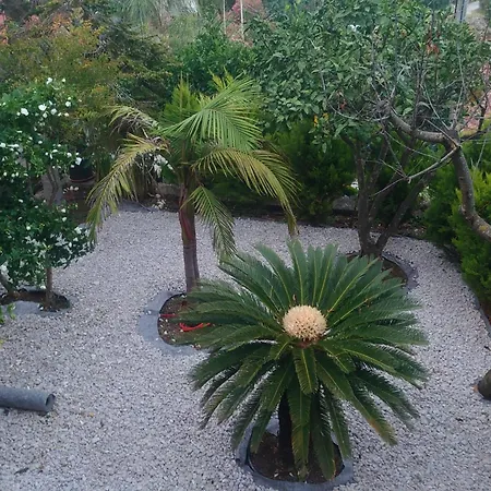 Peragic 몰루나트