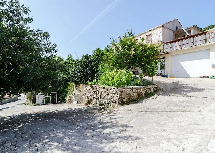 Peragic 몰루나트